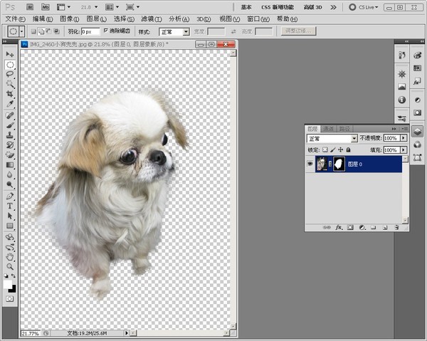 306 为图层添加一个蒙板-《Adobe Photoshop